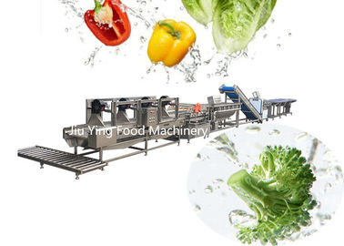 Linha de processamento congelada congelada máquina do fabricante da salada 1000KG/H quiabo vegetal