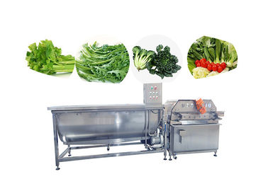 Linha de produção vegetal congelada de borbulhagem da alface da salada da máquina de lavar do fruto limpeza vegetal