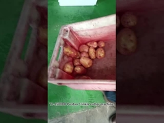 JIUYING Máquina de corte de batatas fritas de alto desempenho