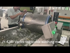 Máquina de limpeza de bolhas de ozônio de frutas e vegetais para processamento de saladas