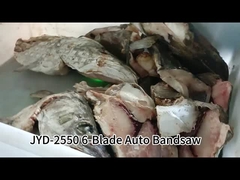 Máquina de serra de banda vertical automática de 6 lâminas que corta peixe congelado com controle de tela sensível ao toque