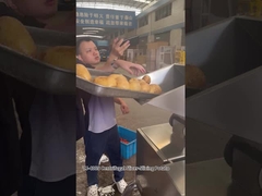 12 Estações de Corte Máquina de Corte de Fatias de Batata Frita Centrífuga Com excelentes resultados