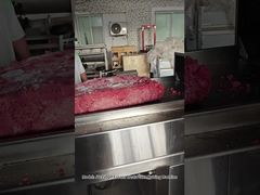 Máquina de Corte Desfiadora de Carne Congelada de Alta Eficiência para Triturador de Ossos Congelados a -18 Graus