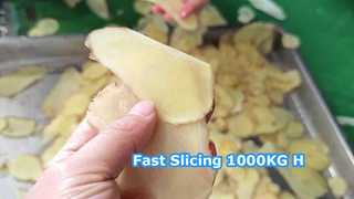 Máquina centrífuga do cortador 1000KG/H