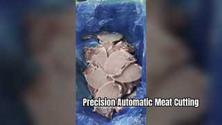 Serra de fita automática para carne de corte único JYX-420 com ângulo de corte de 0-45 graus
