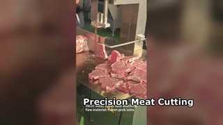 Serra de fita de açougueiro JY310 para corte de carne de precisão